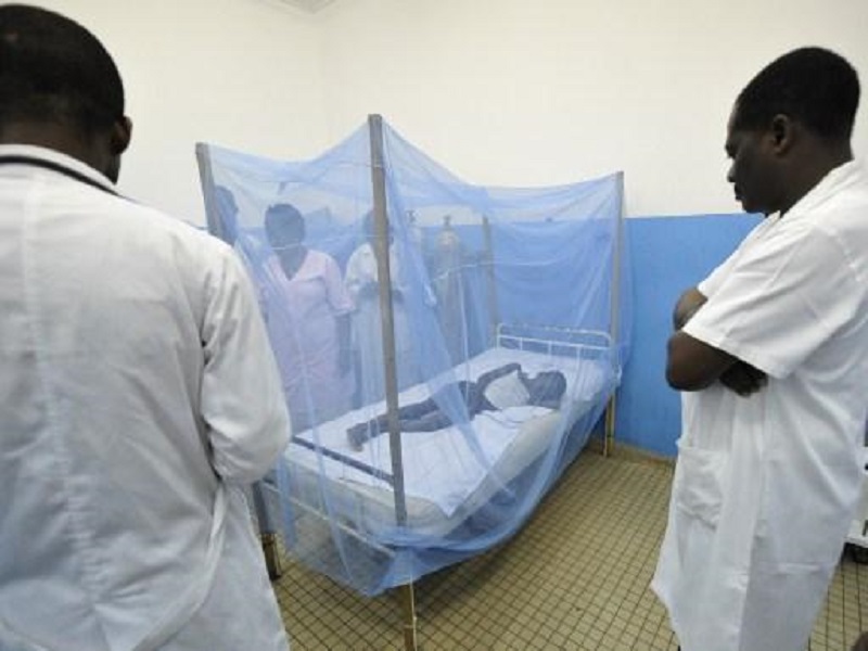 Sénégal : "Les cas de paludisme ont connu une hausse en 2021" (PNLP)