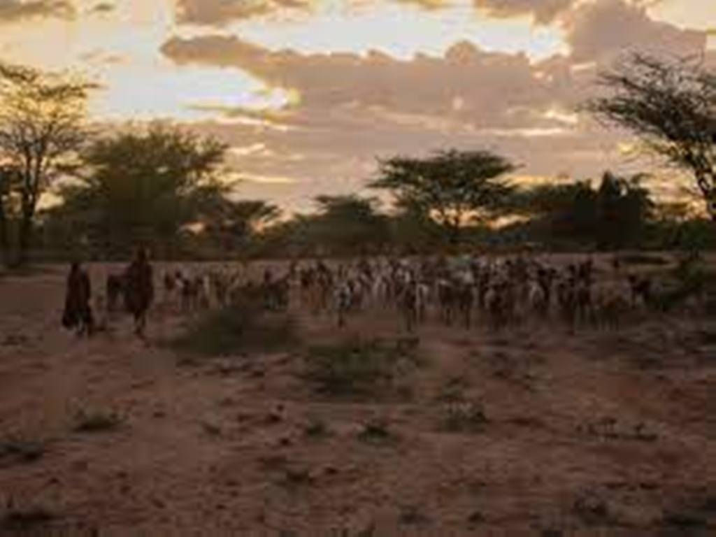 Les pastoralistes du Turkana, à l’épreuve du dérèglement climatique