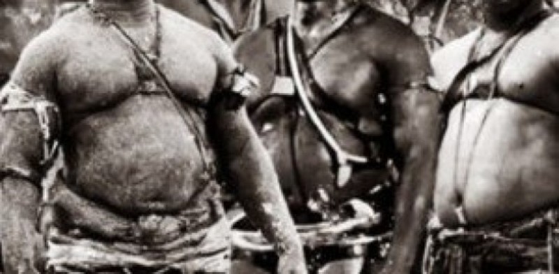 Lutte-Baisse des cachets : lutteurs et promoteurs pleurent les sponsors, l’Etat indexe le CNG qui accuse les supporters