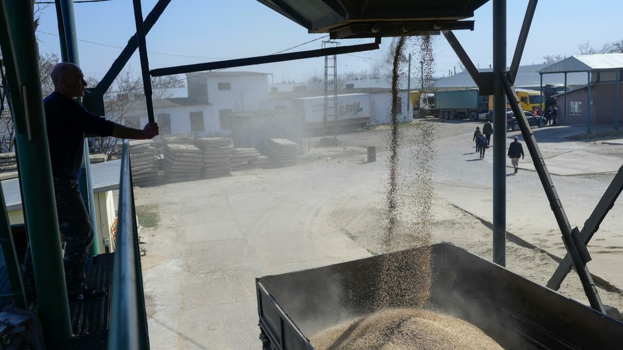 Des grandes puissances agricoles promettent la sécurité alimentaire malgré la guerre en Ukraine