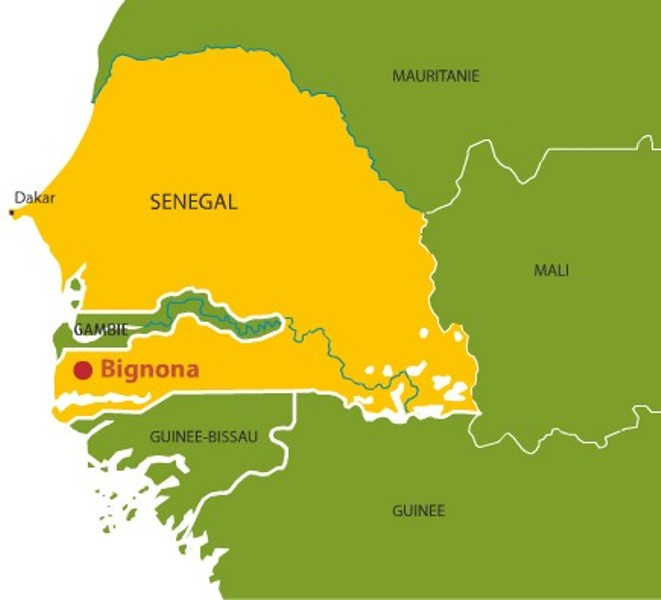 Course poursuite macabre dans les rizières de Bignona : Pourchassé par des gendarmes, un membre du MFDC meurt