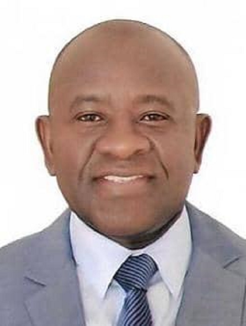 ​Pour une Cour constitutionnelle en remplacement du Conseil constitutionnel (Par Dr El Hadji Ibrahima MBOW)