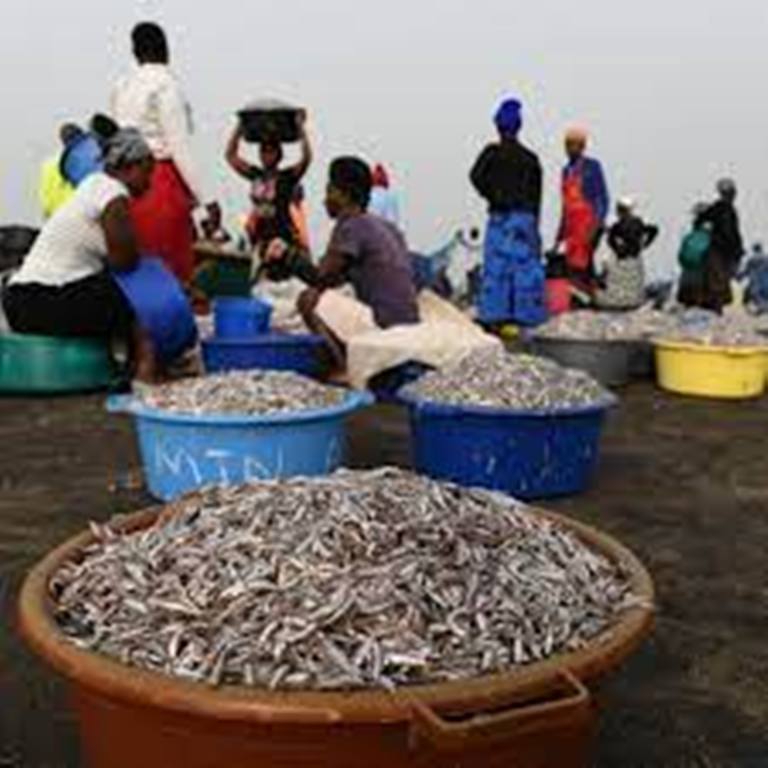 Consommation: les poissons importés de Chine envahissent le Kenya