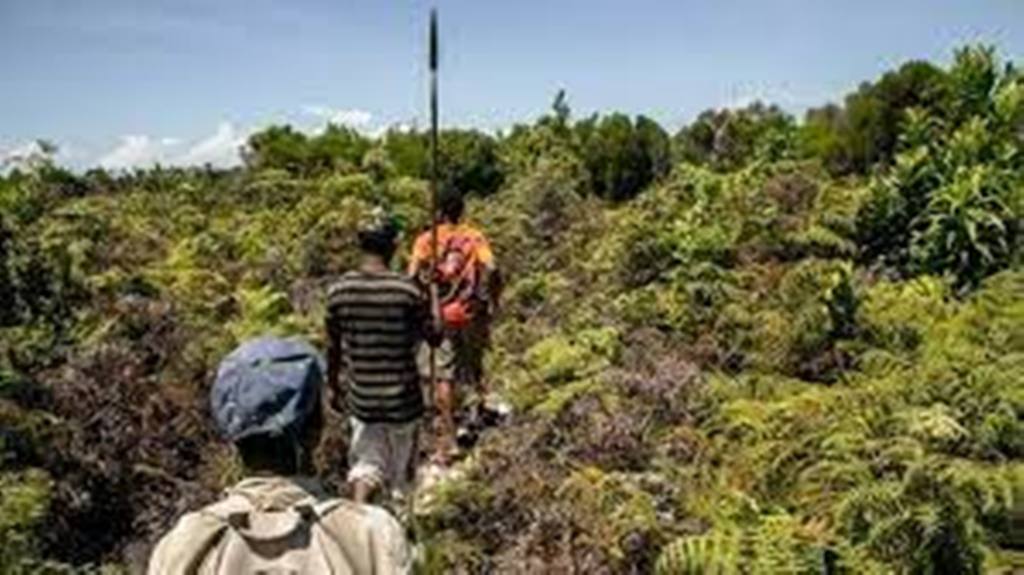 Madagascar: des citoyens se mobilisent après l'assassinat d'un protecteur de l'environnement