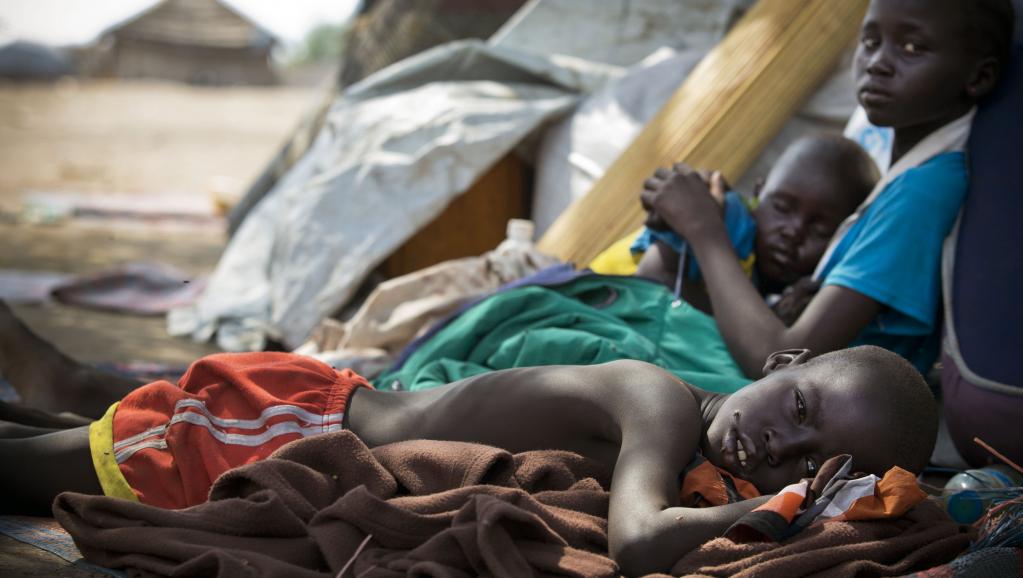 Soudan du Sud: envoi de renforts à Bor après l'attaque de jeudi