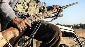 Au moins vingt civils tués par des hommes armés dans le nord du Mali