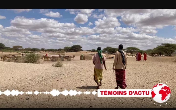 Au Kenya, les modes de vie à l'épreuve des sécheresses