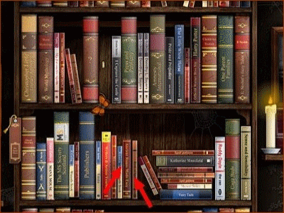 Bibliothèque numérique : les auteurs africains absents des plateformes numériques