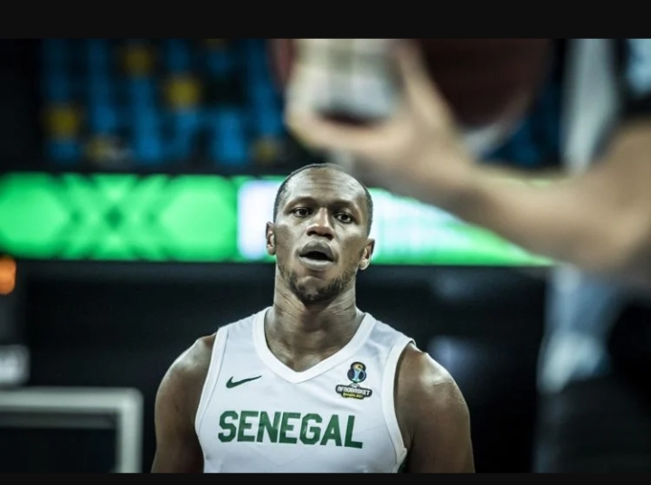 Faute de visa, les Lions du basket coincés à Istanbul