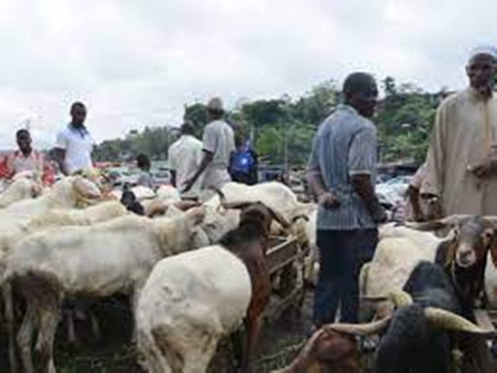 Niger: alerte sur la consommation excessive de bois pour les grillades du mouton de tabaski