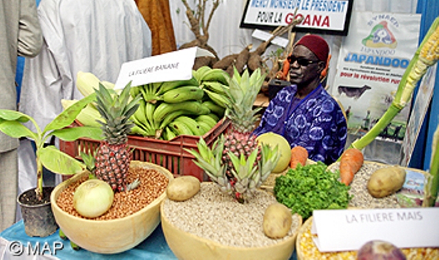 Un nouveau rapport révèle que l’industrie des semences africaine est désormais dominée par des start-up locales
