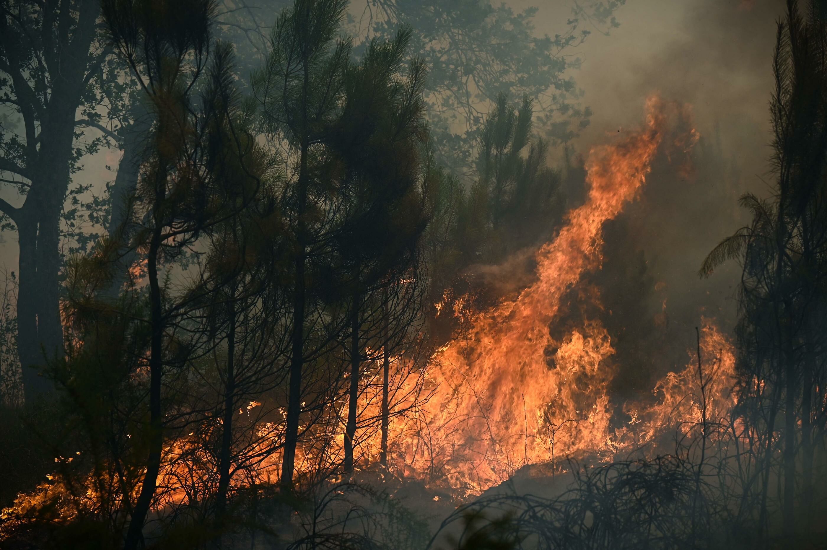 Canicule : la vigilance rouge levée, 17 000 hectares brûlés en Gironde