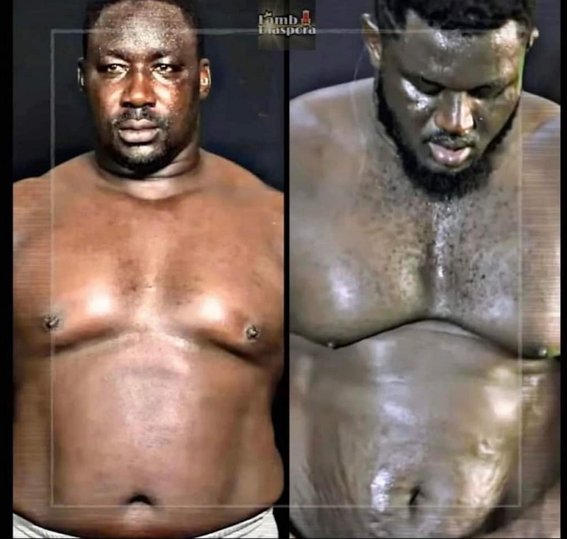 Lutte : quand Balla gaye 2 et Gris Bordeaux se brocardent sur leur forme physique