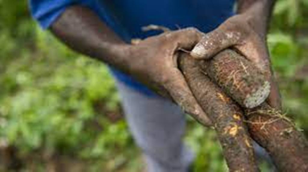RDC: farine de manioc contre pénurie de blé