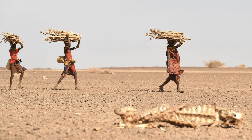 Somalie: un million de personnes déplacées par la sécheresse