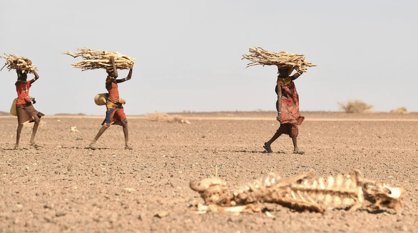 Somalie: un million de personnes déplacées par la sécheresse