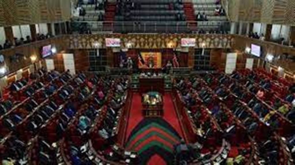 Kenya: Martin Wanyonyi devient le premier homme atteint d'albinisme élu député