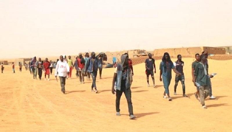 115 Sénégalais expulsés d’Algérie et bloqués au Niger
