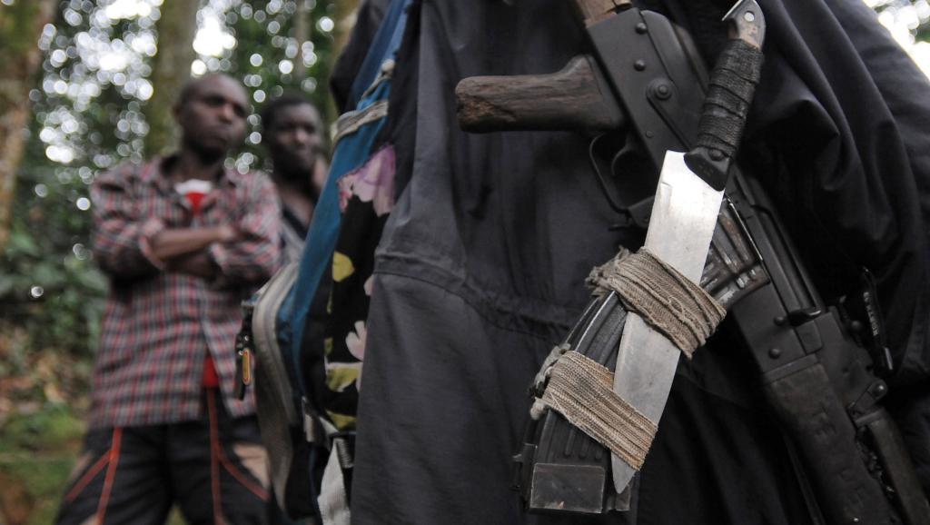 Les armes d'un rebelle hutu rwandais des FDLR dans la forêt autour de Pinga, à 150 km au nord-ouest de Goma, en février 2009. AFP PHOTO/ LIONEL HEALING