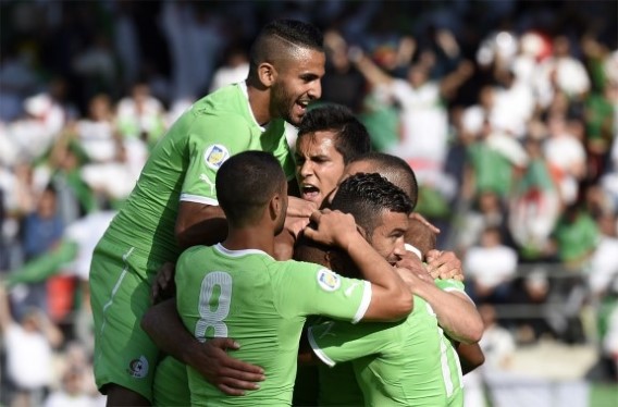 Premier adversaire des Diables rouges au Mondial : Les Algériens ont de solides arguments