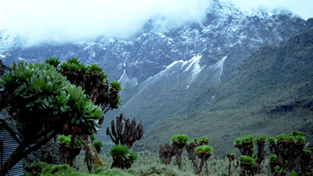 Vue sur la chaîne du Rwenzori