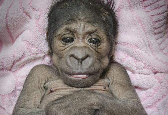 Un oeil sur l'actualite dans le monde (En image...)