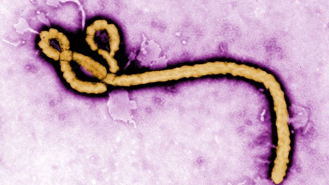 Ebola au Sénégal: les Saltigués du centre Malango de Fatick promettent d’extraire le virus du pays