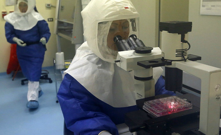 Remède pour l'Ebola: Zmapp marche à 100 % sur 18 singes, un essai sur des humains en phase 1