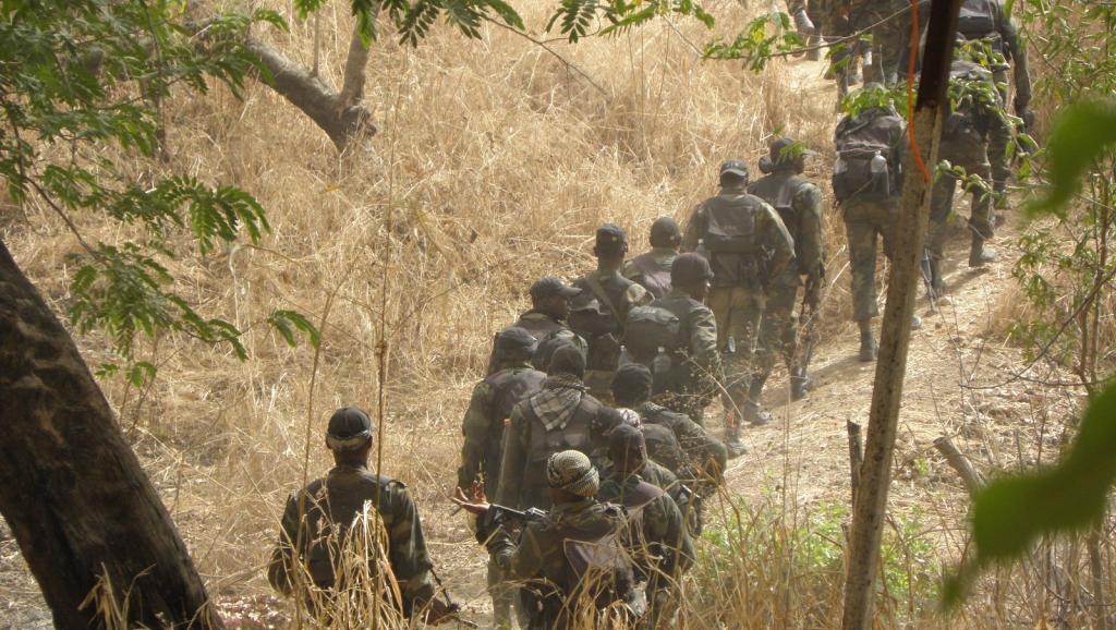 Une colonne de soldats camerounais. RFI/Sarah Sakho