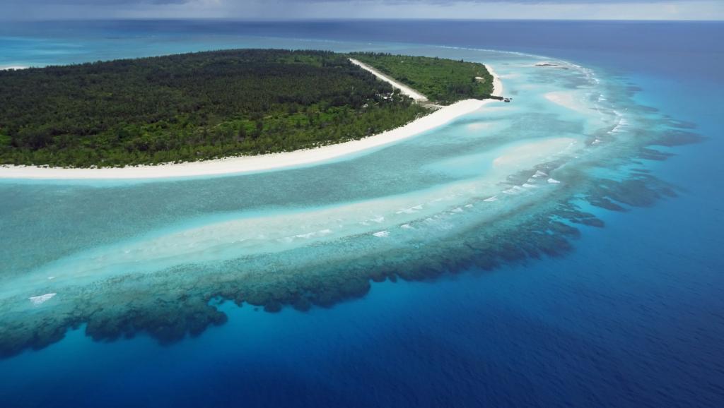 Juan de Nova, l'une des cinq îles Eparses françaises, située dans le canal du Mozambique, est un hâvre de biodiversité, préservé de la prédation et de la pollution humaine... pour l'instant. AFP PHOTO / SOPHIE LAUTIER