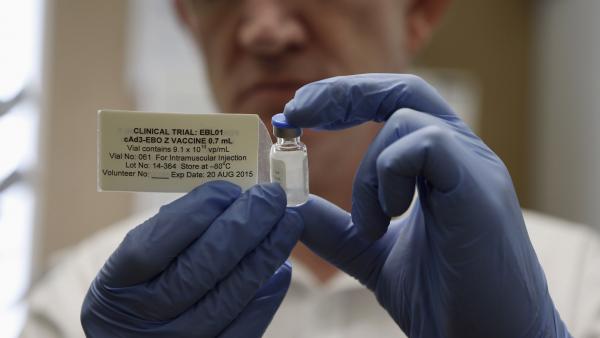 Essai d'un vaccin contre Ebola au centre de vaccination d'Oxford, le 17 septembre 2014. REUTERS/Steve Parsons/Pool