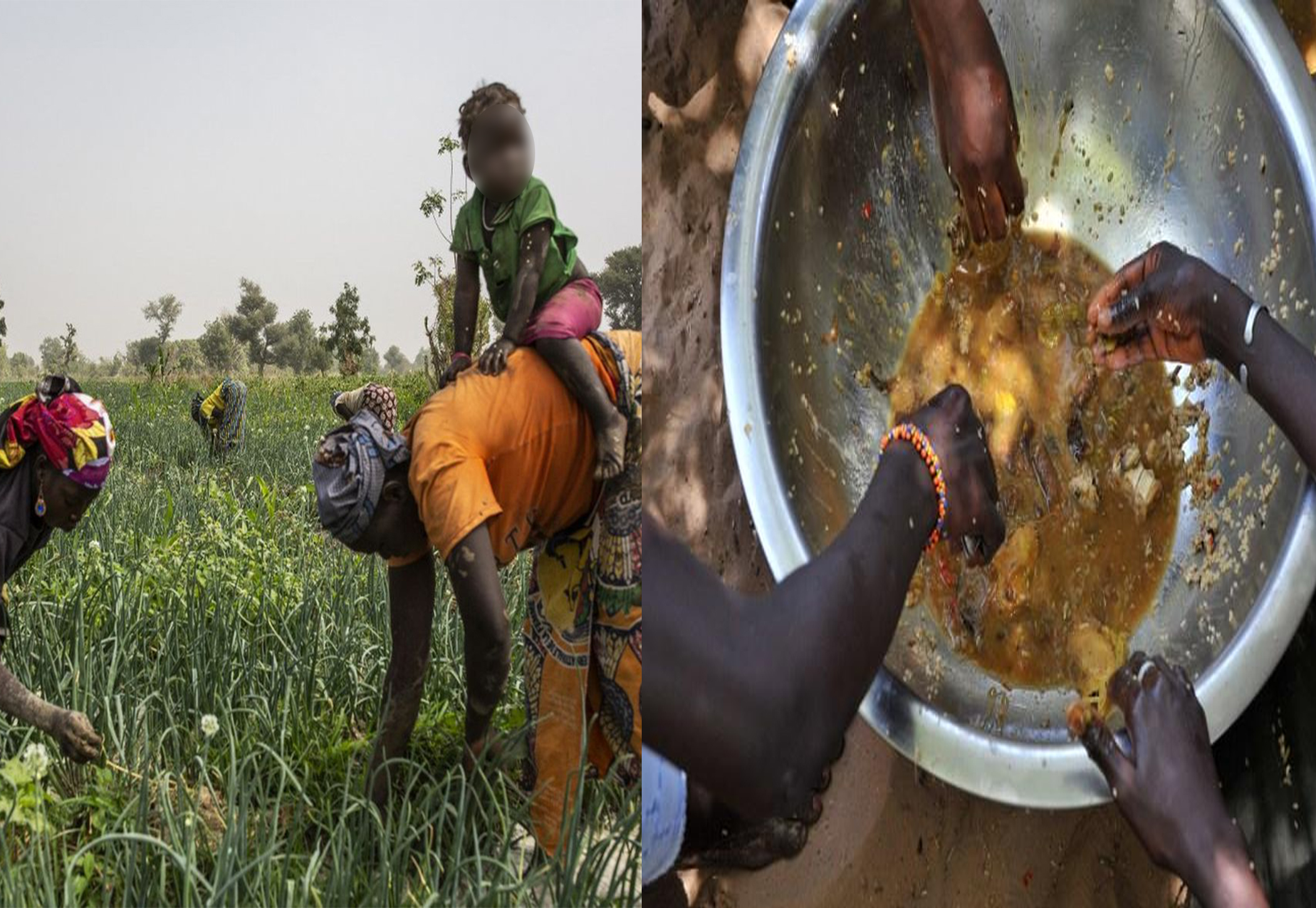  Sénégal : quelles stratégies pour faire face à la crise alimentaire ?