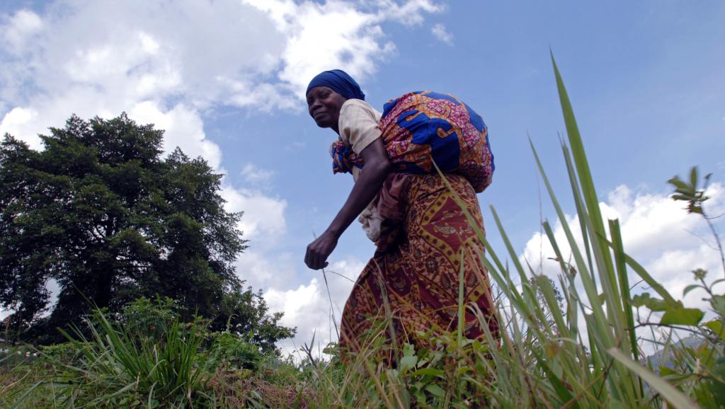 Dans la région de Beni, au Nord-Kivu, les habitants vivent dans la crainte d'être enlevés ou tués par les ADF-Nalu depuis des années. AFP PHOTO / LIONEL HEALING