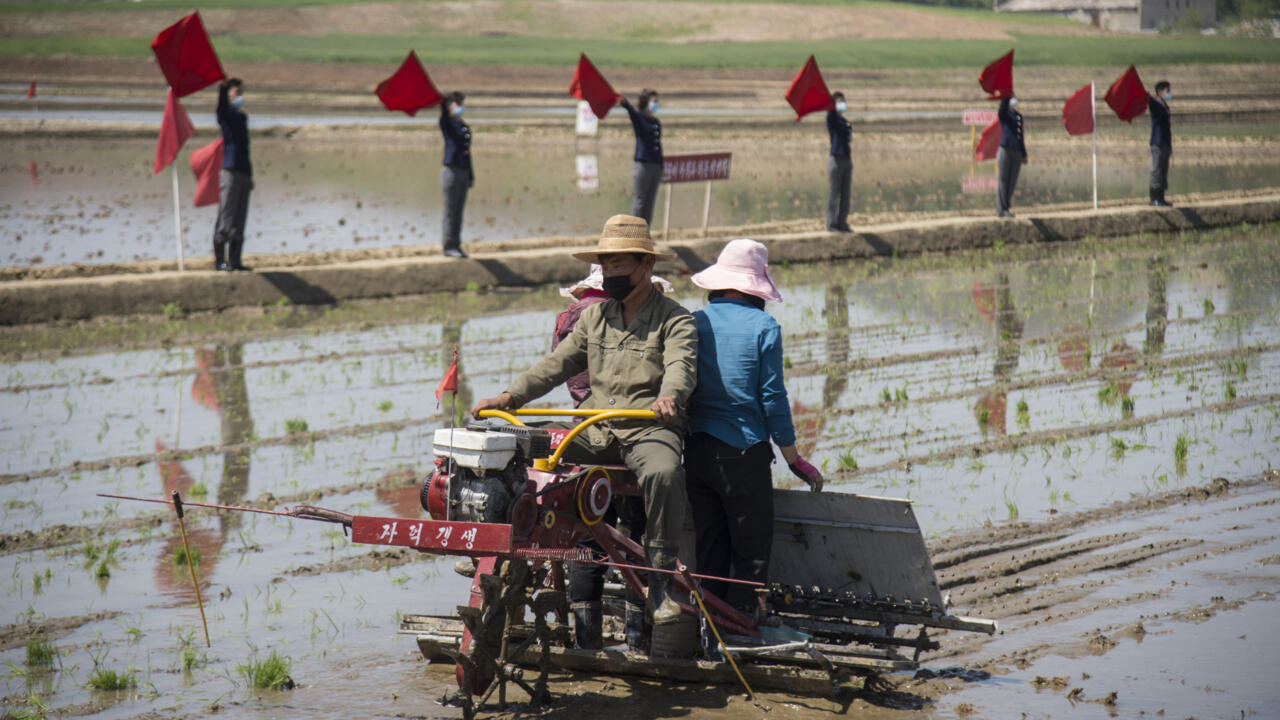 Réunion-clé sur l'agriculture en Corée du Nord, qui souffrirait de "graves" pénuries alimentaires