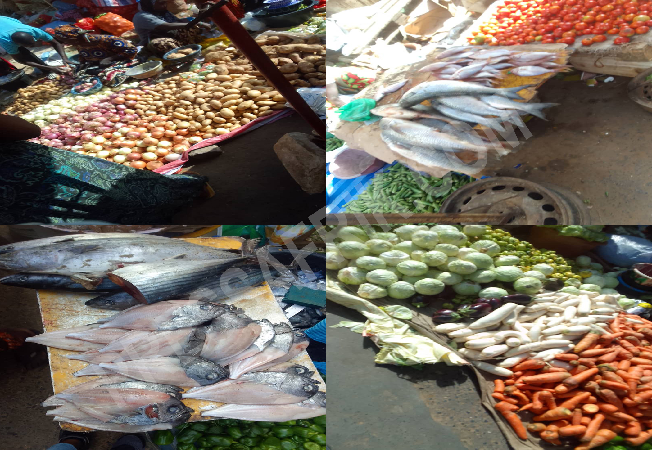 Marché Castor : les prix des denrées jugés stables, mais le poisson se fait très rare