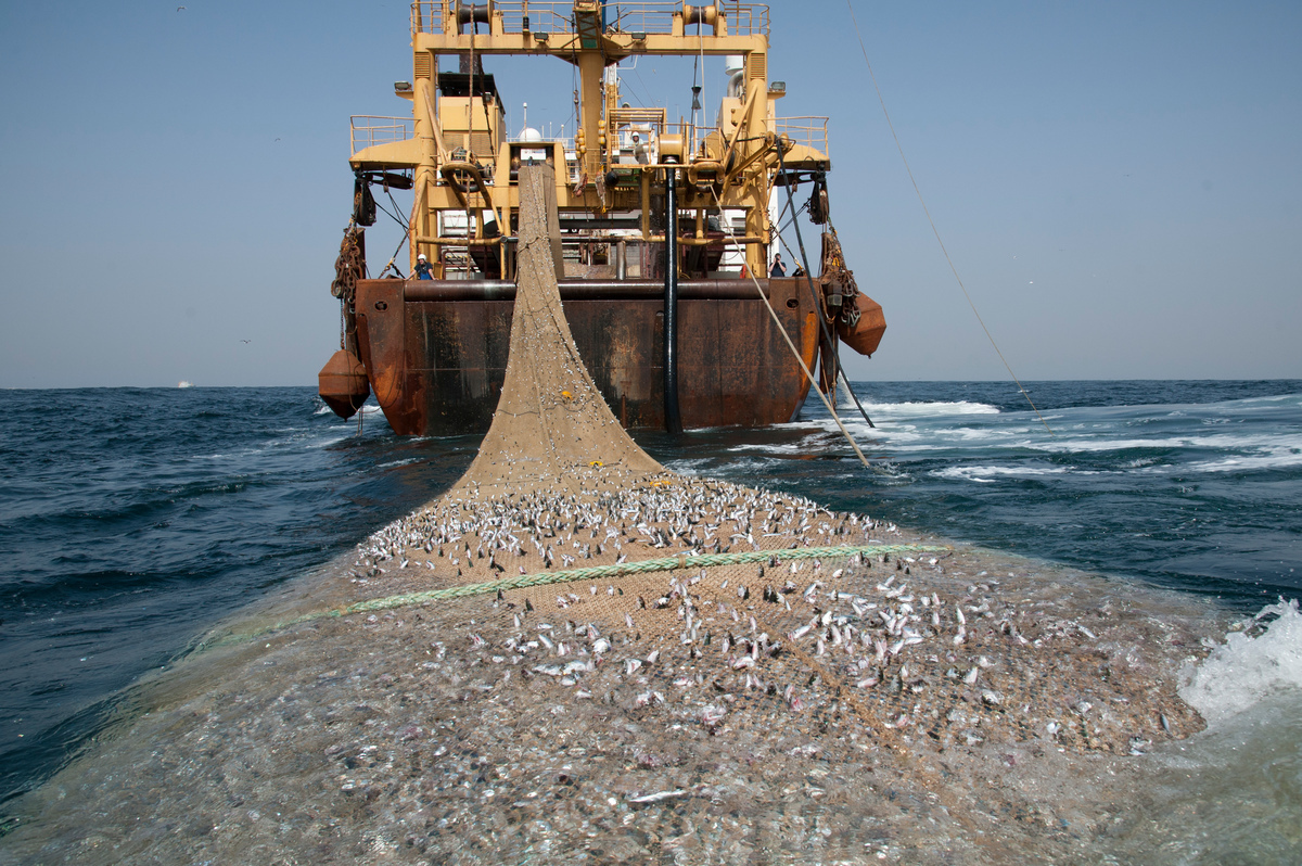 Pêche: le Sénégal impose une hausse de 250% sur la redevance aux entreprises franches d'exportation