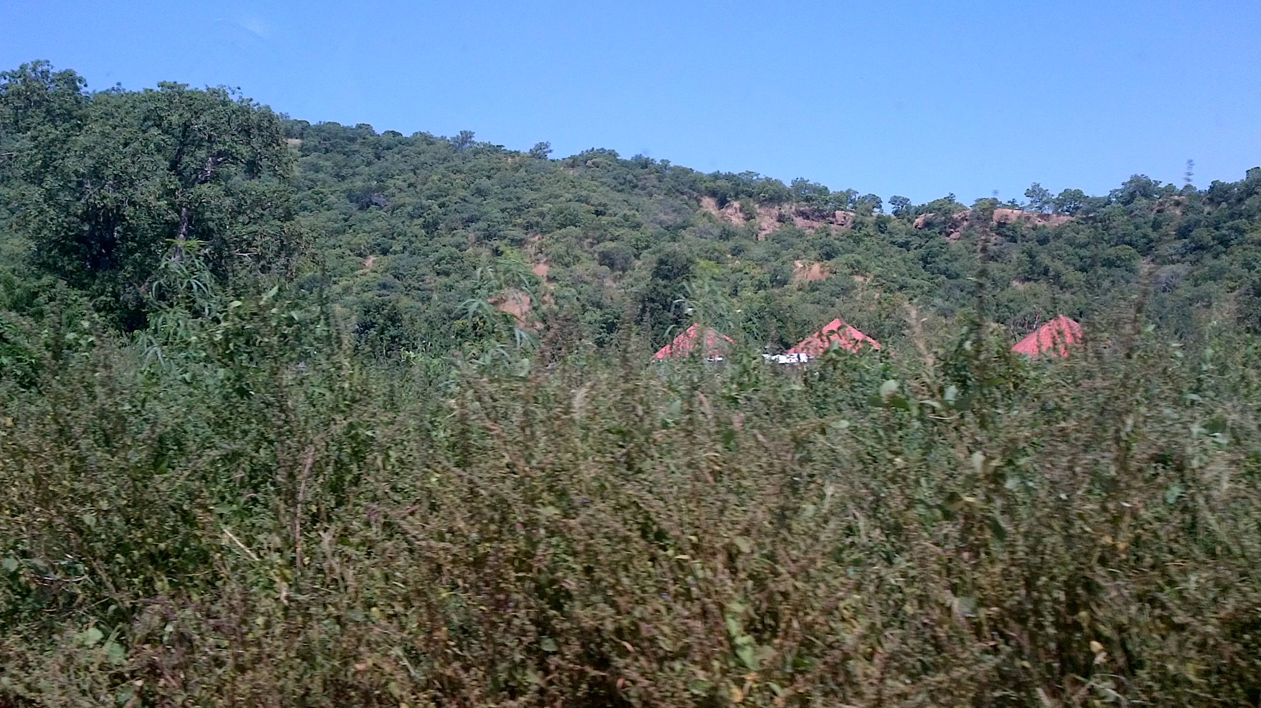 Domaine Agricole (DAC) d’Itato: l'autosuffisance alimentaire de Kédougou en vue