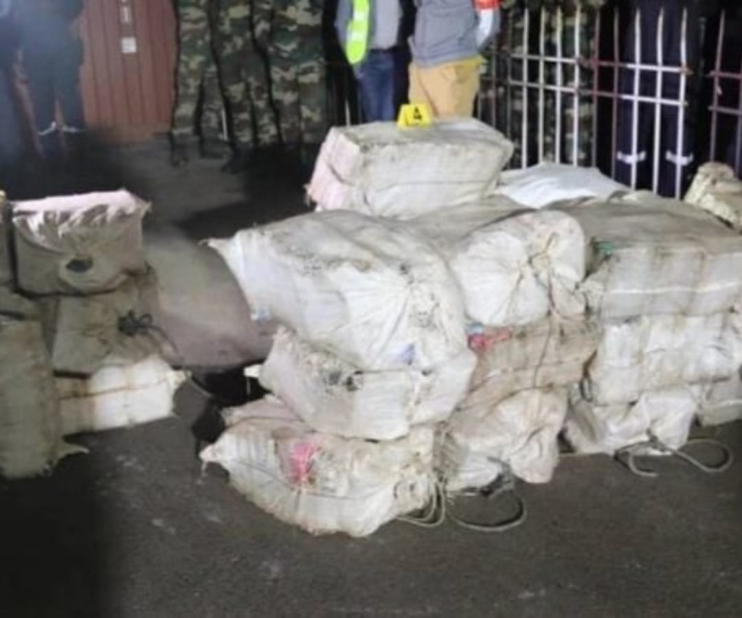 Sénégal : plus de 800 kg de chanvre indien, faux médicaments… d’une valeur de 241 millions saisis par la Douane