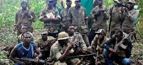 ​Le MFDC dément tout « accrochage » avec le ministre de l’Intérieur Bissau-guinéen