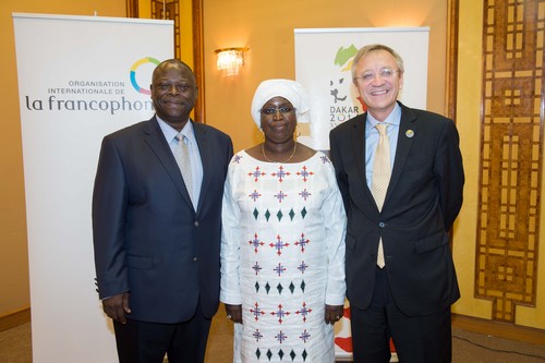 Francophonie: l'UEMOA et l'OIF, le front commun contre le déficit d'énergie