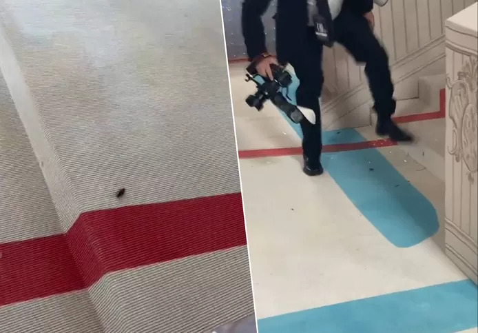 Un cafard s'invite sur le tapis rouge du Met Gala et vole la vedette aux célébrités