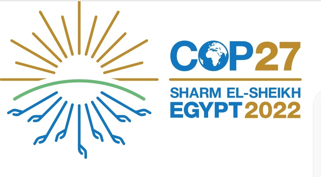 Les pays africains doivent s'opposer aux mesures de la COP27 qui empêchent l'Afrique d'utiliser pleinement ses combustibles fossiles (Par NJ Ayuk)