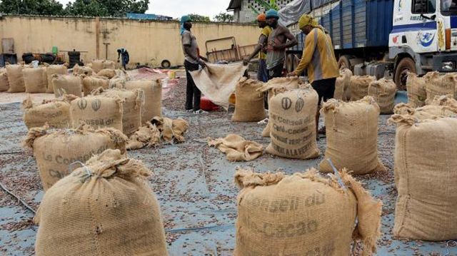 Comprendre le bras de fer entre producteurs de cacao et multinationales