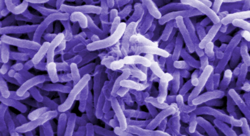 Au Cameroun, cinq régions sont désormais touchées par une épidémie de choléra