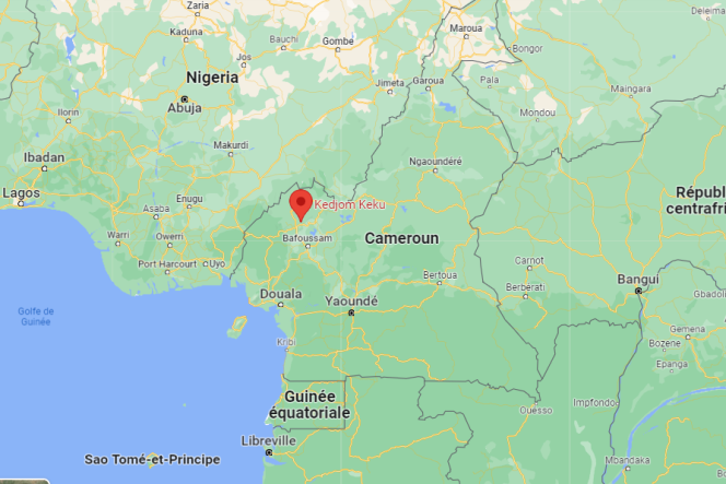 Cameroun: une trentaine de femmes kidnappées dans l'ouest du pays (autorités)