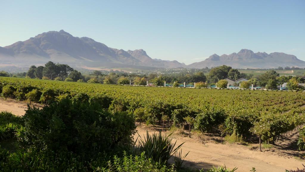 L'initiative de créer un numéro d'urgence pour les fermiers blancs répond à un problème d'insécurité selon l'organisation Afriforum.