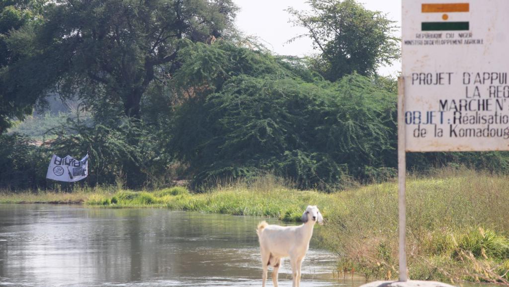 Le drapeau du groupe Boko Haram, visible au Nigeria, de la ville de Bosso au Niger, de l'autre côté du fleuve-frontière. EC/ECHO/Anouk Delafortrie