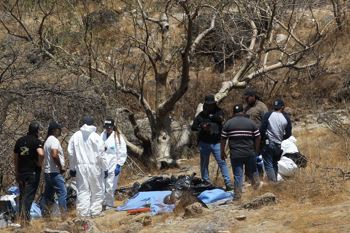Mexique: les restes de huit jeunes disparus retrouvés dans 45 sacs au fond d'un ravin