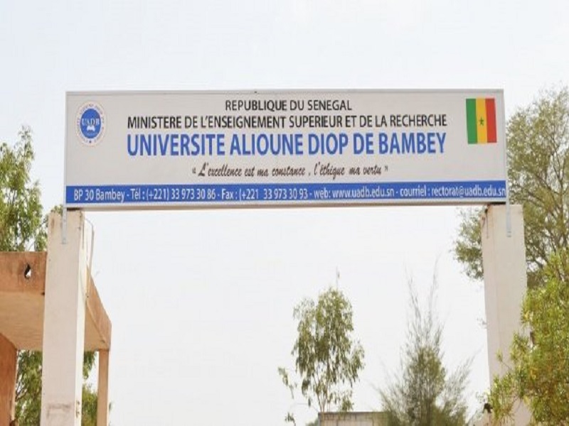 Cours en ligne pour terminer l'année : l'Université Alioune Diop de Bambey dit niet 