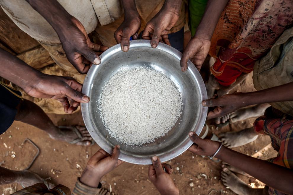 Crise alimentaire dans le Sahel en 2023 : 1,3 million de Sénégalais en situation d’urgence  